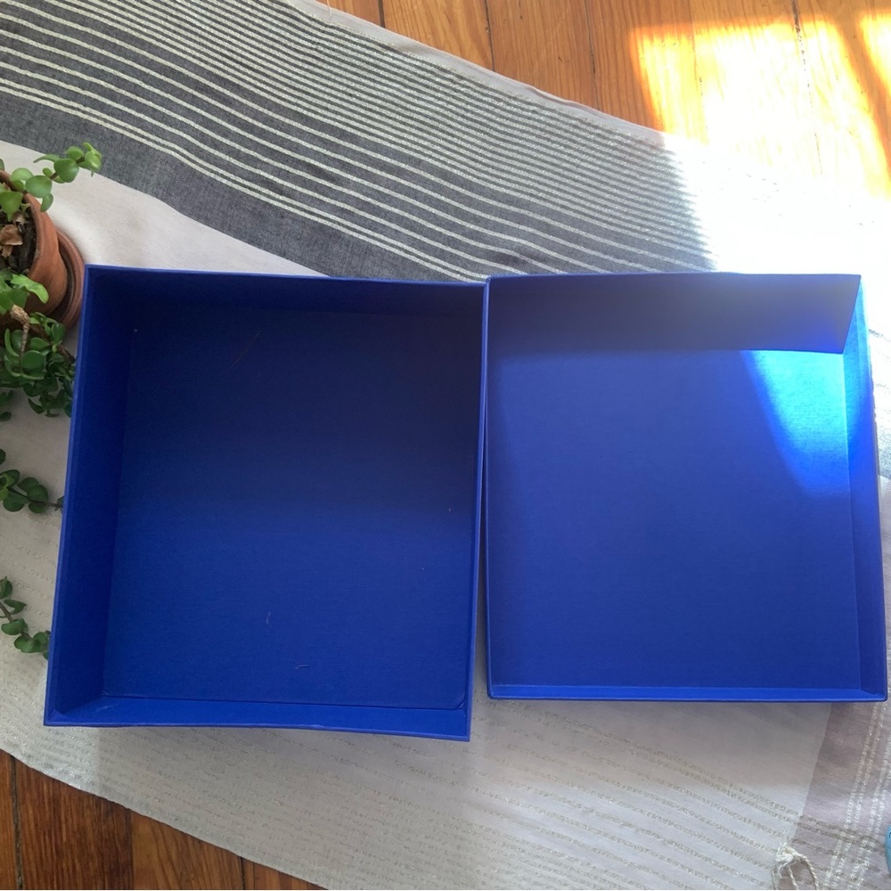 Stuart Weitzman Empty Shoe Box - Picture 7 of 7